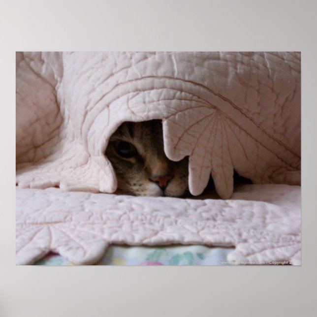 Peeking Tom poster (Front)