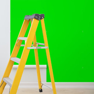Peel and stick wallpaper lime green