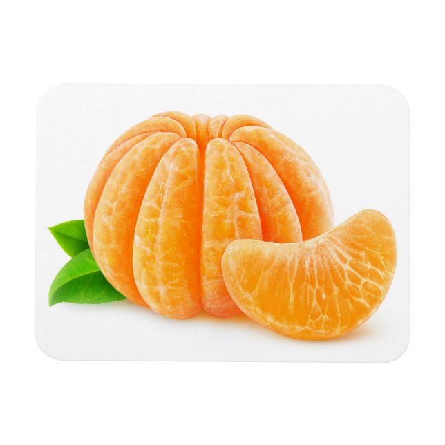 Peeled tangerine magnet (Horizontal)