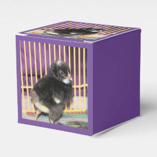 Peep Favour Box
