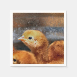 Peep peep napkin
