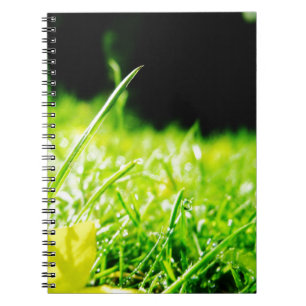 peep spiral notebook