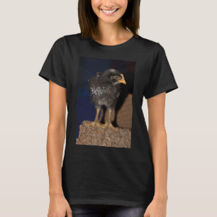 Peep T-Shirt