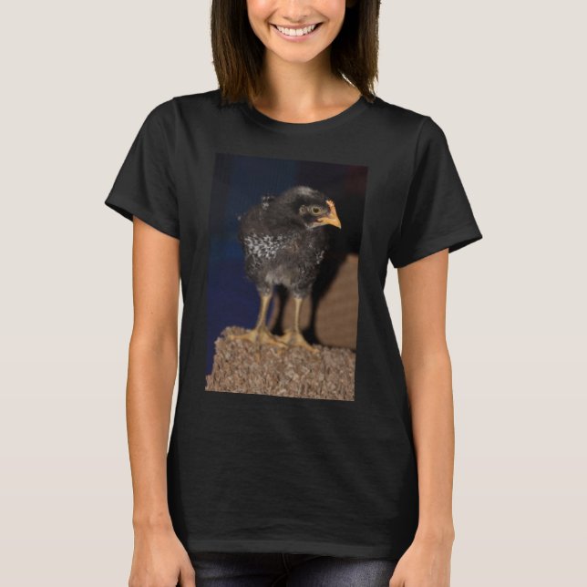 Peep T-Shirt (Front)