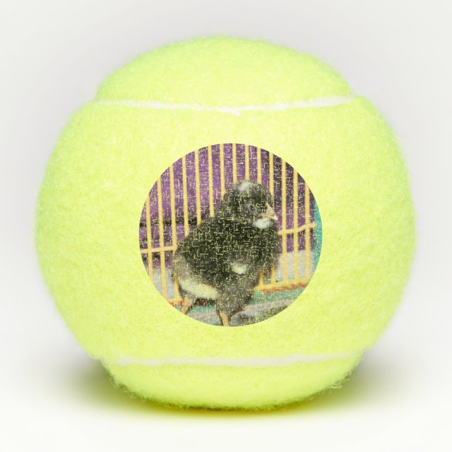 Peep Tennis Balls (Front)