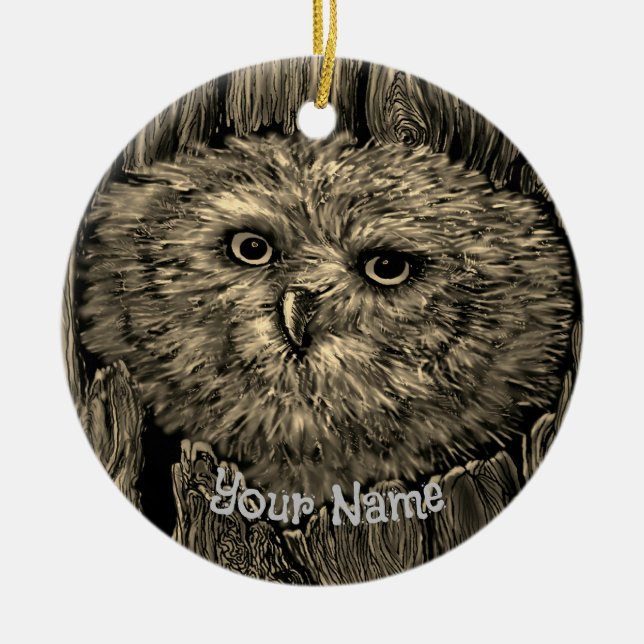 Peeper Owl   Ceramic Tree Decoration (Front)