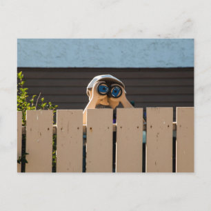 Peeping Neighbour Postcard