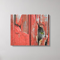 Peeping Tom