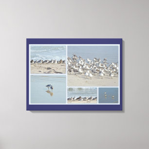 Peeps at the Shore Canvas Print