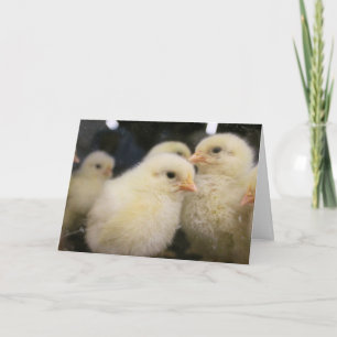 Peeps Card
