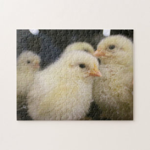 Peeps Jigsaw Puzzle