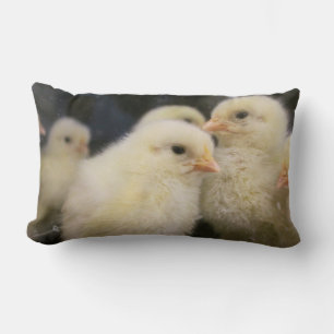 Peeps Lumbar Cushion