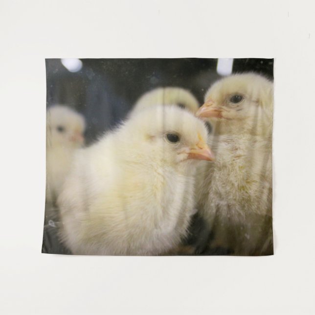 Peeps Tapestry (Front (Horizontal))