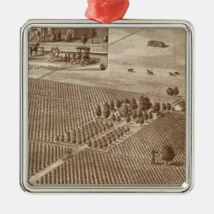 Peerless Vineyard, Hanford, Cal Metal Tree Decoration