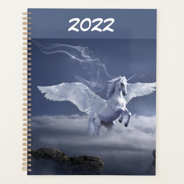Pegasus in Flight  Planner (Front)