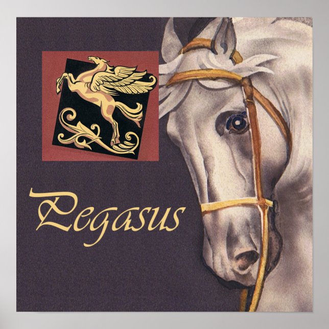 pegasus poster (Front)