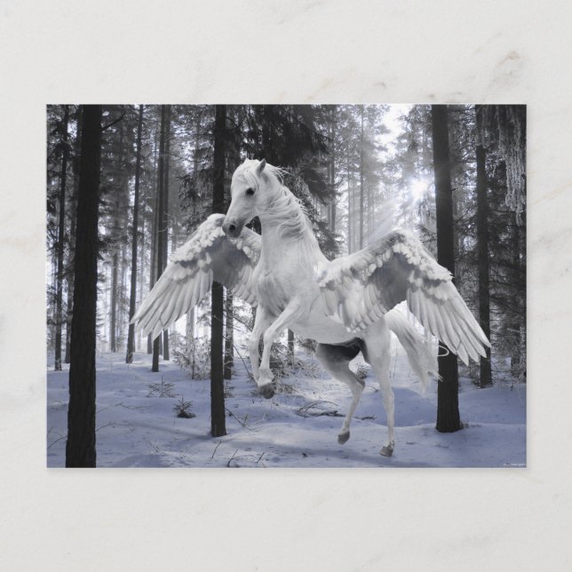 Pegasus Winged Flying Horse Forest Snow Postcard (Front)