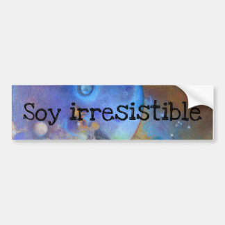 Pegatina para el parachoques bumper sticker