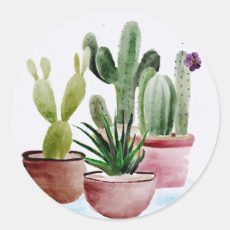 PEGATINAS CACTUS CLASSIC ROUND STICKER