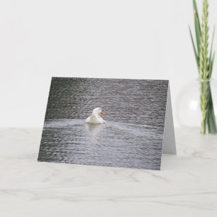 Pekin Duck swimming away Greeting Card