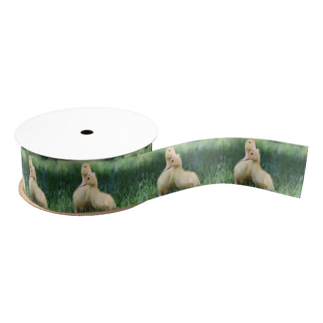 Pekin Ducklings Grosgrain Ribbon (Spool)