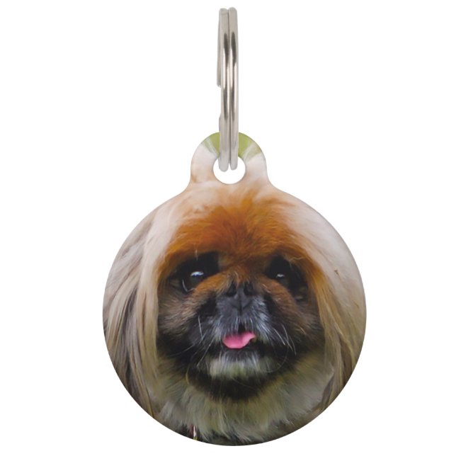 Pekinese Dog. Pet Tag (Front)