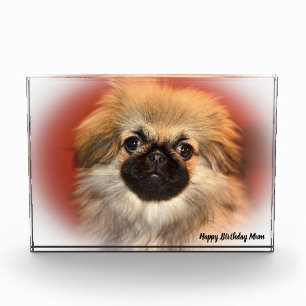 Pekinese Dog Photo Block