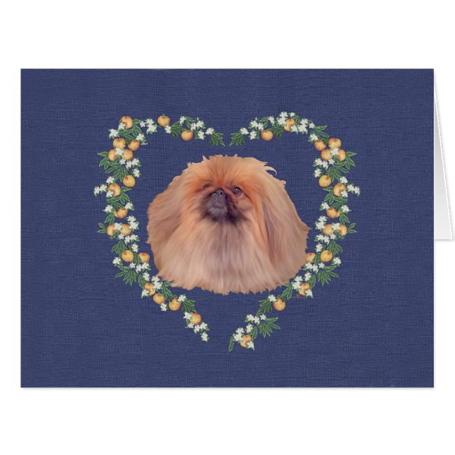 Pekingese (Front Horizontal)
