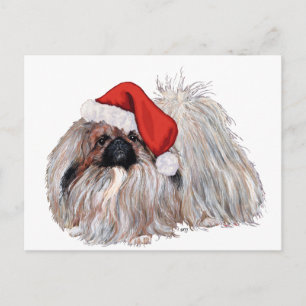 Pekingese at Christmastime Holiday Postcard