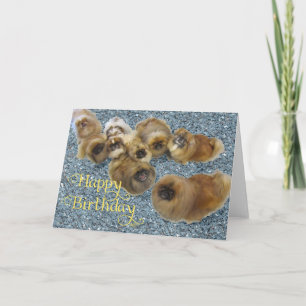 Pekingese Birthday Greeting Card