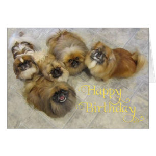 Pekingese Birthday Greeting Card