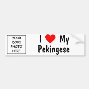 Pekingese Bumper Sticker