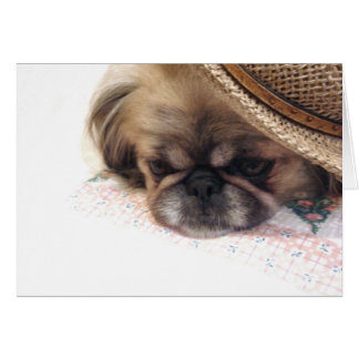 Pekingese Card