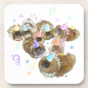 Pekingese Celebration Group Coaster