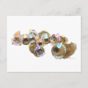 Pekingese Celebration Group Postcard