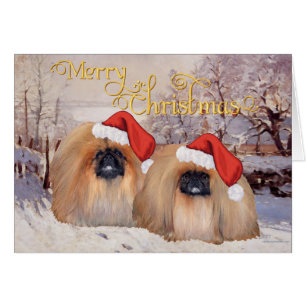 Pekingese Christmas