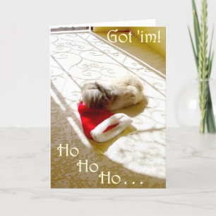 Pekingese Christmas Greeting Card