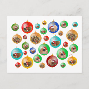 Pekingese Christmas Ornaments Holiday Postcard