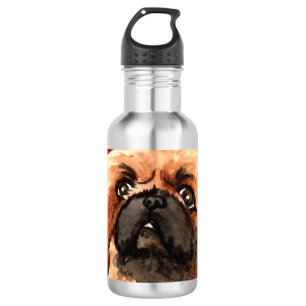 Pekingese Colour Block 532 Ml Water Bottle