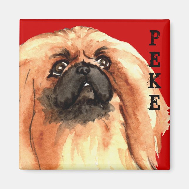 Pekingese Colour Block Magnet (Front)