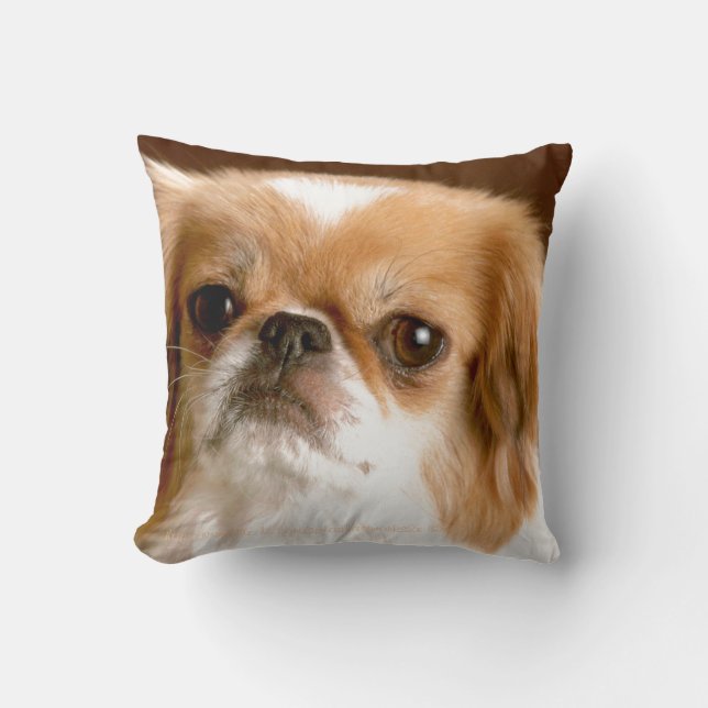 "Pekingese" Cushion (Front)