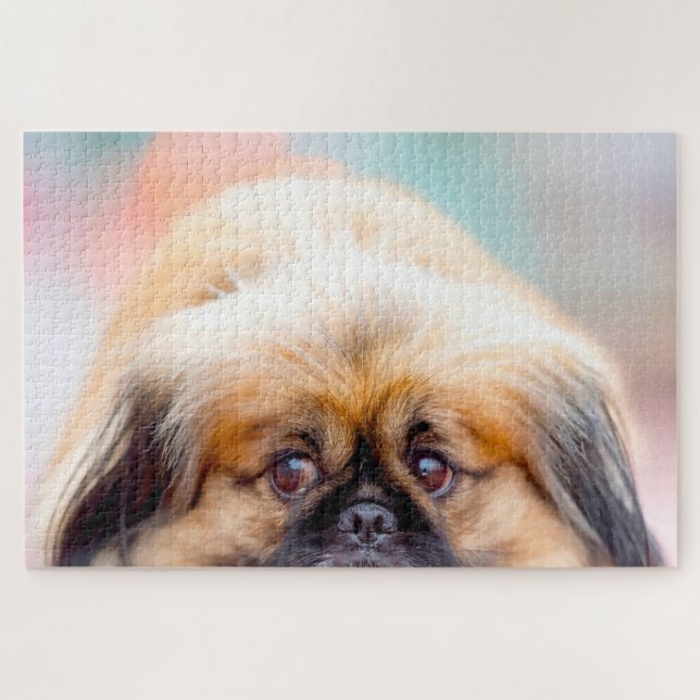 Pekingese Dog. Jigsaw Puzzle (Horizontal)