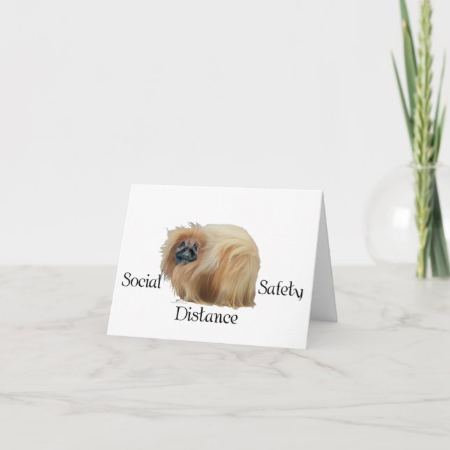 Pekingese Dog Notes (Front)