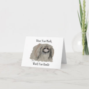Pekingese Dog Notes