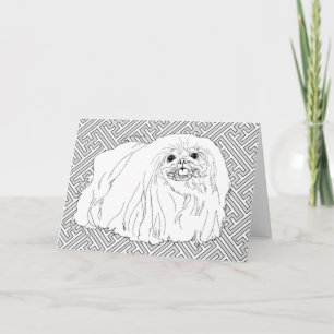 Pekingese Dog Notes
