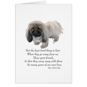 Pekingese Dog Rainbow Bridge