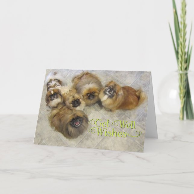 Pekingese Get Well Card (Front)