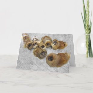 Pekingese Greeting Card