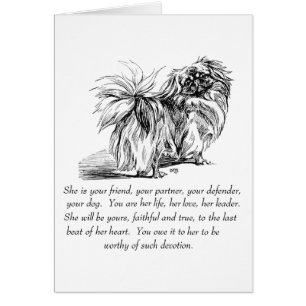 Pekingese Greeting Card