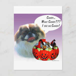 Pekingese Halloween Candy Postcard